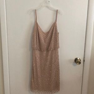 Adriana Papell blush dress